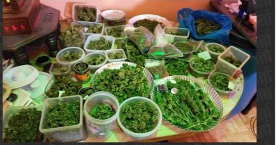 russian olympian woman arrested in goa with drugs 30 lakhs drugs seized | रशियन ऑलिंपिकपटू महिलेला ड्रग्ससह गोव्यात अटक; ३० लाखांचा ड्रग्स जप्त russian olympian woman arrested in goa with drugs 30 lakhs drugs seized | रशियन ऑलिंपिकपटू महिलेला ड्रग्ससह गोव्यात अटक; ३० लाखांचा ड्रग्स जप्त