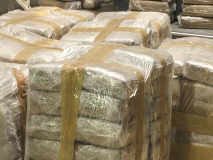 Action of Crime Branch: Drugs worth 10 lakh seized from Nigerian | गुन्हे शाखेची कारवाई : नायझेरियनकडून १० लाखाचा अमली पदार्थ जप्त Action of Crime Branch: Drugs worth 10 lakh seized from Nigerian | गुन्हे शाखेची कारवाई : नायझेरियनकडून १० लाखाचा अमली पदार्थ जप्त