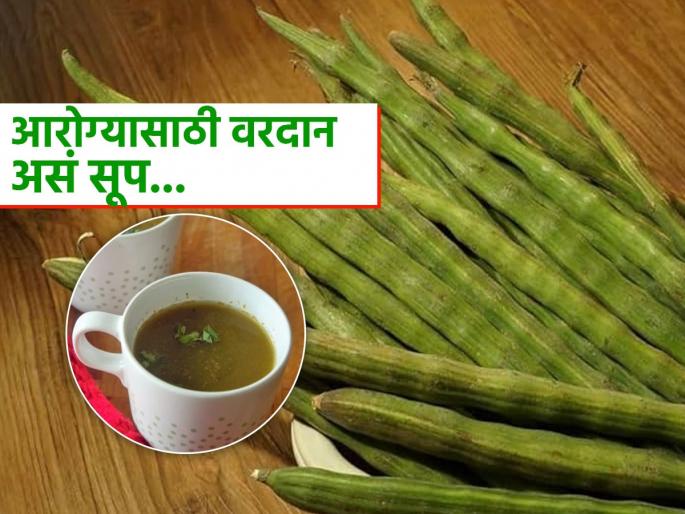 Healthy and tasty drumstick soup, know its benefits and how to make this | 'या' हिरव्या शेंगांचं सूप म्हणजे पोषक तत्वांचा खजिना, फायदे वाचाल तर रोज प्याल, पाहा रेसिपी