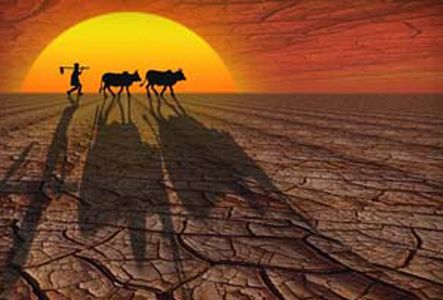 Dark drought on Bhusawal taluka | भुसावळ तालुक्यावर दुष्काळाचे गडद सावट Dark drought on Bhusawal taluka | भुसावळ तालुक्यावर दुष्काळाचे गडद सावट