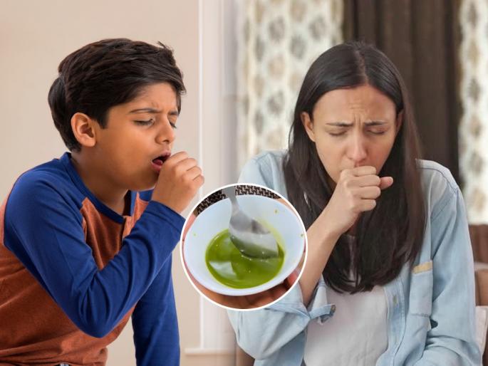 Betel Leaves Dry Cough Relief Homemade Syrup Ayurvedic Remedy for Dry Cough Benefits Of Betel Leaf For Dry Cough And Other Viral Infections 1 Effective Natural Remedy To Relieve Dry Cough | कोरडा खोकला खूप? नागवेलीच्या पानांच्या घरगुती औषधाने ढास होते कमी, घ्या डॉक्टरांचाही सल्ला...