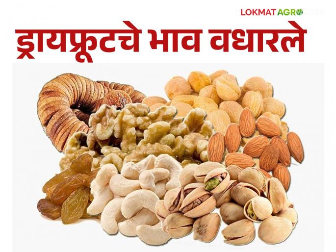 Dry Fruits Market is getting hit by falling rupee against dollar; The prices of cashew nuts, almonds and walnuts increased | Dry Fruits Market डॉलरच्या तुलनेत रुपया घसरल्याचा बसतोय फटका; काजू, बदाम, अक्रोडचे भाव वधारले Dry Fruits Market is getting hit by falling rupee against dollar; The prices of cashew nuts, almonds and walnuts increased | Dry Fruits Market डॉलरच्या तुलनेत रुपया घसरल्याचा बसतोय फटका; काजू, बदाम, अक्रोडचे भाव वधारले