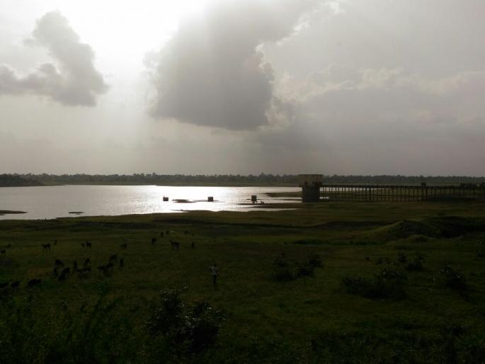 13.46 percent water supply in Buldhana district! | बुलडाणा जिल्ह्यातील प्रकल्पांमध्ये १३.४६ टक्केच जलसाठा! 13.46 percent water supply in Buldhana district! | बुलडाणा जिल्ह्यातील प्रकल्पांमध्ये १३.४६ टक्केच जलसाठा!