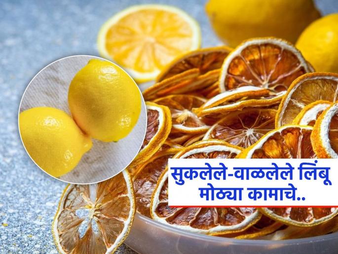Different uses of dry lemon, know how to use it | कचरा समजून फेकू नका सुकलेले-वाळलेले लिंबू, 'असा' करा वापर आणि मिळवा एकापेक्षा एक फायदे...