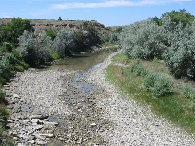 Wan and Purana rivers dry! | वान व पुर्णा या नद्याही कोरड्या! Wan and Purana rivers dry! | वान व पुर्णा या नद्याही कोरड्या!