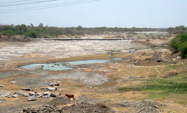 The Sonal project is thirsty | सोनल प्रकल्प तहानलेलाच The Sonal project is thirsty | सोनल प्रकल्प तहानलेलाच