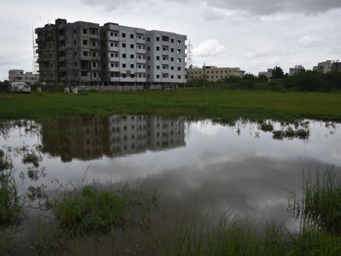 Rain water lodged in Open Spaces of Akola city | अकाेला शहरातील मोकळे भूखंड बनले तलाव Rain water lodged in Open Spaces of Akola city | अकाेला शहरातील मोकळे भूखंड बनले तलाव