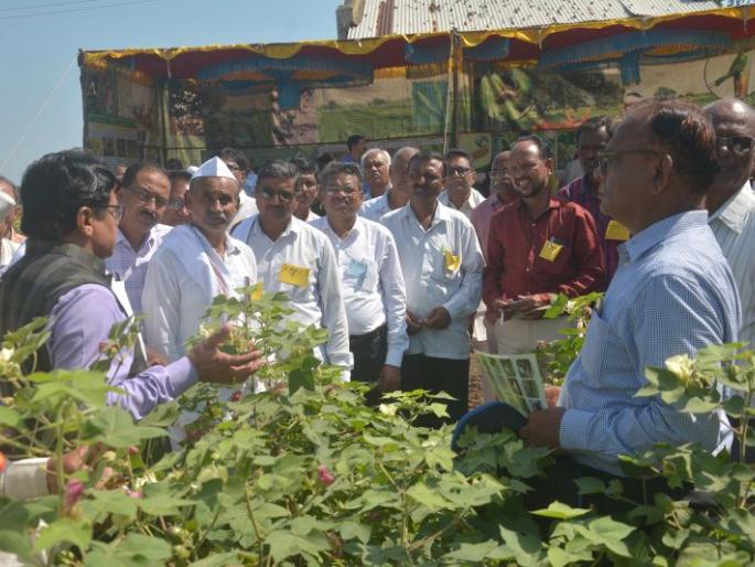 Thousands of farmers have learned about the science of farming | शेत शिवारफेरी: हजारो शेतकऱ्यांनी जाणून घतले नवतंत्रज्ञान! Thousands of farmers have learned about the science of farming | शेत शिवारफेरी: हजारो शेतकऱ्यांनी जाणून घतले नवतंत्रज्ञान!