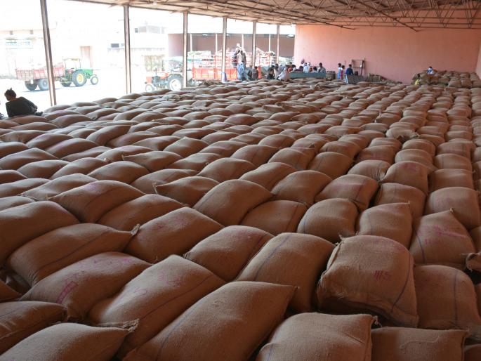 Millions quintals of toor without counting the | वऱ्हाडातील लाखो क्विंटल तूर मोजणीविना पडून!