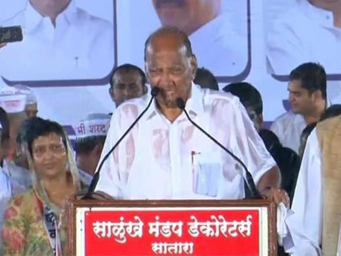 Who is the salunkhe pavilion decorators who came to the discussion because of the Pawars rally? | पवारांच्या पावसातील सभेमुळे चर्चेत आलेले साळुंखे मंडप डेकोरेटर्स आहे तरी कोण ? Who is the salunkhe pavilion decorators who came to the discussion because of the Pawars rally? | पवारांच्या पावसातील सभेमुळे चर्चेत आलेले साळुंखे मंडप डेकोरेटर्स आहे तरी कोण ?