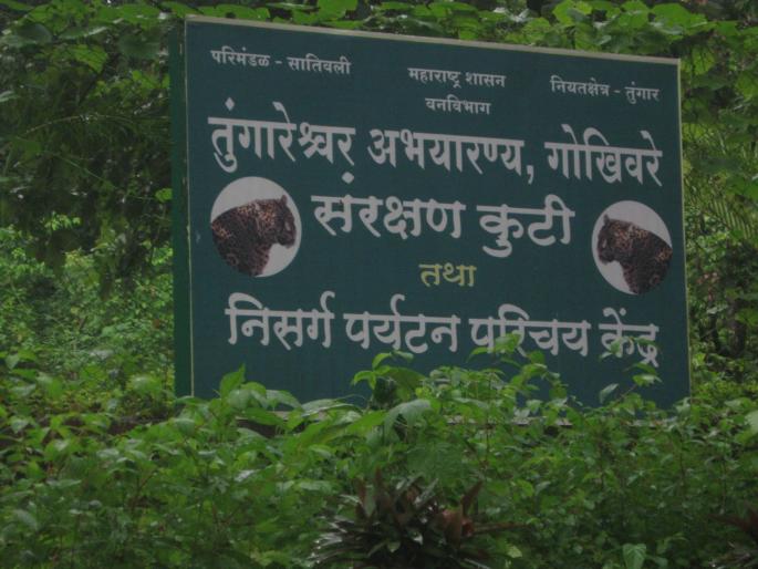 Tourists have to pay Jiziakar to visit the sanctuary at Tungareshwar | तुंगारेश्वर अभयारण्यात जाण्यासाठी पर्यटकांना द्यावा लागतो जिझियाकर  Tourists have to pay Jiziakar to visit the sanctuary at Tungareshwar | तुंगारेश्वर अभयारण्यात जाण्यासाठी पर्यटकांना द्यावा लागतो जिझियाकर