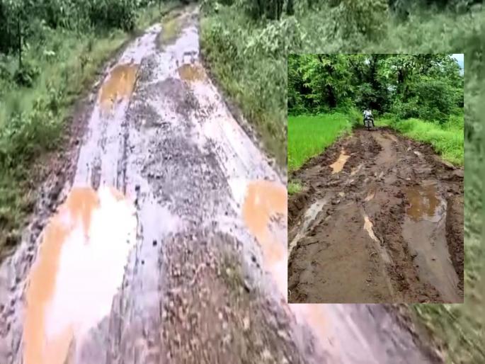 15 village roads of Shahapur cleared; Forest department approval for the site | शहापूरच्या १५ गांव रस्त्यांचा मार्ग मोकळा; जागेला वनविभागाची मंजुरी  15 village roads of Shahapur cleared; Forest department approval for the site | शहापूरच्या १५ गांव रस्त्यांचा मार्ग मोकळा; जागेला वनविभागाची मंजुरी
