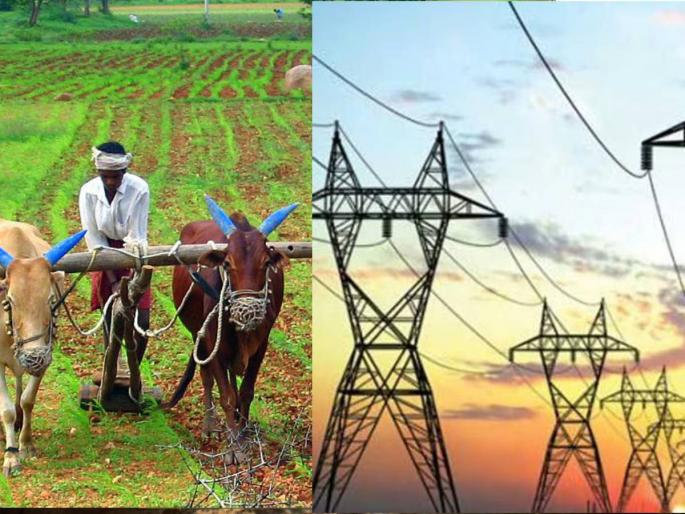 Rabi season in danger due to lightning strike, tell how to water the crop? Farmers' question | विजेच्या लपंडावामुळे रब्बी हंगाम धोक्यात, सांगा पिकाला पाणी कसे द्यावे? शेतकऱ्यांचा सवाल Rabi season in danger due to lightning strike, tell how to water the crop? Farmers' question | विजेच्या लपंडावामुळे रब्बी हंगाम धोक्यात, सांगा पिकाला पाणी कसे द्यावे? शेतकऱ्यांचा सवाल