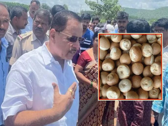 Karnataka MLA Corruption Case: How is it possible? Rs 8.23 crore earned from sale of betel nuts; BJP MLA's claim in corruption | Karnataka MLA Corruption Case: कसं शक्य आहे? 8.23 कोटी रुपये सुपारी विकून मिळालेले; भ्रष्टाचारातील भाजप आमदाराचा दावा Karnataka MLA Corruption Case: How is it possible? Rs 8.23 crore earned from sale of betel nuts; BJP MLA's claim in corruption | Karnataka MLA Corruption Case: कसं शक्य आहे? 8.23 कोटी रुपये सुपारी विकून मिळालेले; भ्रष्टाचारातील भाजप आमदाराचा दावा