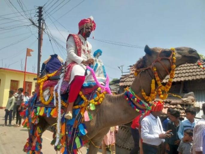 The groom in Bhadravati has set out on a camel to reach in wedding mandap | घोडा-गाडी नाही, चक्क उंटावरून निघाली लग्नाची वरात The groom in Bhadravati has set out on a camel to reach in wedding mandap | घोडा-गाडी नाही, चक्क उंटावरून निघाली लग्नाची वरात