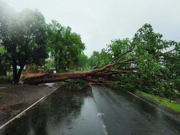 cyclone nisarga hit hard in raigad | चक्रीवादळाचा जोरदार तडाखा cyclone nisarga hit hard in raigad | चक्रीवादळाचा जोरदार तडाखा