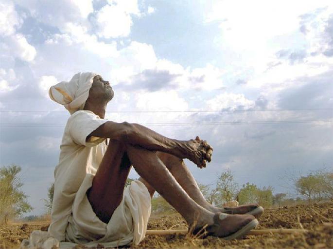 Deficiency of rains disrupted sowing on 18 lakh hectares in 19 districts | पावसाच्या तुटीने १९ जिल्ह्यांमधील १८ लाख हेक्टरवरील पेरण्या खोळंबल्या Deficiency of rains disrupted sowing on 18 lakh hectares in 19 districts | पावसाच्या तुटीने १९ जिल्ह्यांमधील १८ लाख हेक्टरवरील पेरण्या खोळंबल्या
