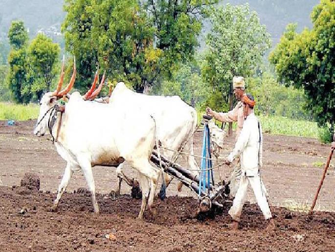 Crisis of double sowing in Jat taluka sangli district | Rain: एकीकडे दमदार तर दुसरीकडे दुष्काळ, जत तालुक्यावर दुबार पेरणीचे संकट Crisis of double sowing in Jat taluka sangli district | Rain: एकीकडे दमदार तर दुसरीकडे दुष्काळ, जत तालुक्यावर दुबार पेरणीचे संकट