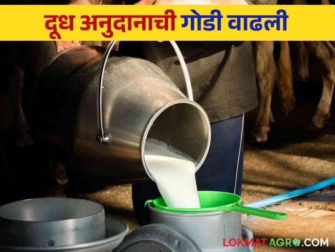 Dudh Anudan: Will the proposal of 590 new milk institutions from across the state get subsidy in your district? | Dudh Anudan : राज्यभरातून नव्याने ५९० दूध संस्थांचे प्रस्ताव तुमच्या जिल्ह्यात मिळणार का अनुदान? Dudh Anudan: Will the proposal of 590 new milk institutions from across the state get subsidy in your district? | Dudh Anudan : राज्यभरातून नव्याने ५९० दूध संस्थांचे प्रस्ताव तुमच्या जिल्ह्यात मिळणार का अनुदान?