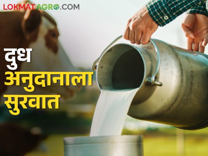 Approval of milk subsidy from January 11 to March 10 | ११ जानेवारी ते १० मार्च या कालावधीतील दुध अनुदानाला मंजुरी Approval of milk subsidy from January 11 to March 10 | ११ जानेवारी ते १० मार्च या कालावधीतील दुध अनुदानाला मंजुरी