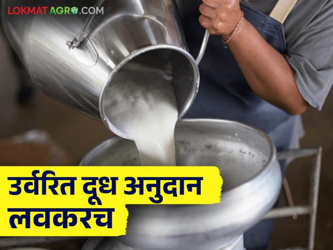 Good news for farmers : Remaining Rs 758 crore milk subsidy approved, distribution soon | शेतकऱ्यांसाठी खुशखबर : उरलेल्या ७५८ कोटी रुपयांच्या दूध अनुदानाला मंजुरी, लवकरच वितरण