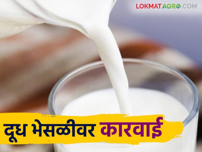 Dudh Bhesal : Food and Drug Administration in action mode over milk adulteration case | Dudh Bhesal : दुधाच्या भेसळप्रकरणी अन्न व औषधी प्रशासन अॅक्शन मोडवर