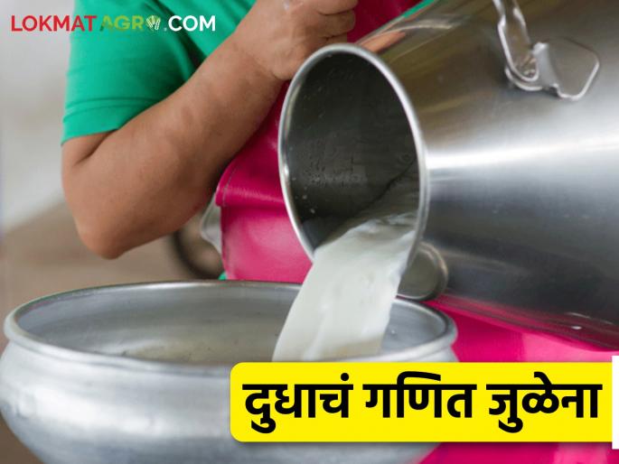 Gay Dudh Dar : Cow milk price reduced and subsidy also stopped; Farmers are hit by about one crore rupees every day | Gay Dudh Dar : गाय दूध दर कमी अन् अनुदानही बंद; शेतकऱ्यांना रोज सुमारे एक कोटी रुपयांचा फटका Gay Dudh Dar : Cow milk price reduced and subsidy also stopped; Farmers are hit by about one crore rupees every day | Gay Dudh Dar : गाय दूध दर कमी अन् अनुदानही बंद; शेतकऱ्यांना रोज सुमारे एक कोटी रुपयांचा फटका