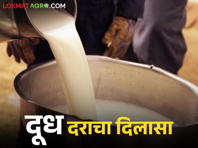 Along with the major milk associations in Maharashtra, this group has also increased the milk purchase price from today. | राज्यातील प्रमुख दूध संघाबरोबर या ग्रुपनेही आजपासून दूध खरेदी दरात केली वाढ