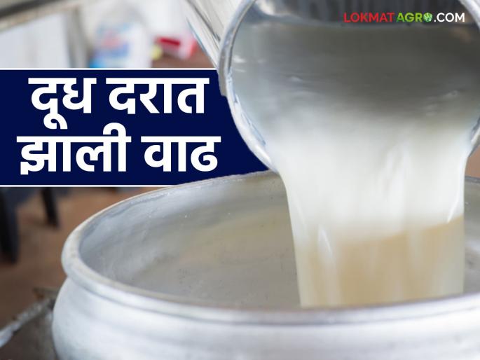 Milk Rate : Good news for milk producers, purchase price has increased; Read in detail | Milk Rate : दूध उत्पादकांना खुशखबर, खरेदी दरात झाली वाढ; वाचा सविस्तर Milk Rate : Good news for milk producers, purchase price has increased; Read in detail | Milk Rate : दूध उत्पादकांना खुशखबर, खरेदी दरात झाली वाढ; वाचा सविस्तर