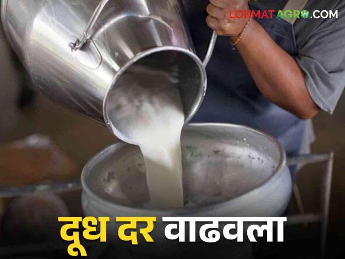 Dudh Dar: This milk union dudh sangh is paying Rs. 30 per milk | Dudh Dar: हा दुध संघ देतोय दुधाला ३० रुपये दर Dudh Dar: This milk union dudh sangh is paying Rs. 30 per milk | Dudh Dar: हा दुध संघ देतोय दुधाला ३० रुपये दर