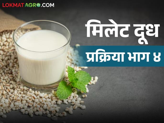 Latest News by-products are produced during production of millet milk Read in detail | Millet Milk : मिलेट मिल्क तयार करताना कुठली उपउत्पादने तयार होतात? वाचा सविस्तर 