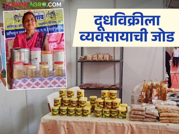 Latest News Bought cows and buffaloes on loan, now making lakhs of profit from ghee and paneer business | Dairy Business : कर्ज काढून गायी, म्हशी घेतल्या, आता तूप, पनीरच्या व्यवसायातुन लाखोंचा नफा 