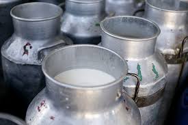 Milk scarcity in rural areas | ग्रामीण भागात दूध टंचाई Milk scarcity in rural areas | ग्रामीण भागात दूध टंचाई