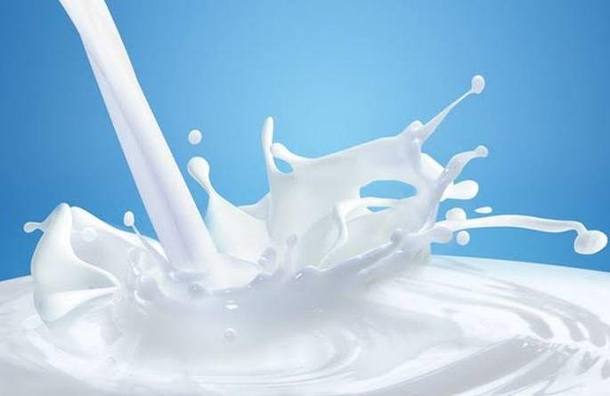Milk will be available in Akola district under the name Milkpurna! | अकोला जिल्ह्यात दूधपूर्णा नावाने मिळणार दूध! Milk will be available in Akola district under the name Milkpurna! | अकोला जिल्ह्यात दूधपूर्णा नावाने मिळणार दूध!