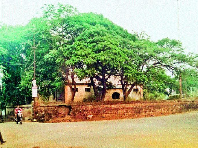 Pigs discovered in the search screech, incident in the closed mill of Junnar | शोध बिबट्याचा सापडले डुक्कर, जुन्नरच्या बंद मिलमधील घटना  Pigs discovered in the search screech, incident in the closed mill of Junnar | शोध बिबट्याचा सापडले डुक्कर, जुन्नरच्या बंद मिलमधील घटना