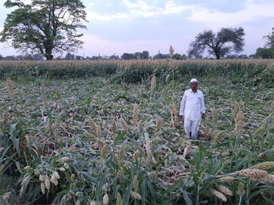 Aundhala untimely blow; Tidal flat | औंधला अवकाळीचा फटका; ज्वारी भुईसपाट