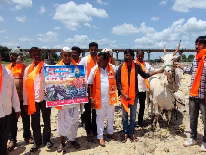 Movement in Bhima river basin with animals to declare drought affected district | दुष्काळग्रस्त जिल्हा जाहीर करण्यासाठी जनावरे घेऊन भिमा नदीपात्रात आंदोलन Movement in Bhima river basin with animals to declare drought affected district | दुष्काळग्रस्त जिल्हा जाहीर करण्यासाठी जनावरे घेऊन भिमा नदीपात्रात आंदोलन