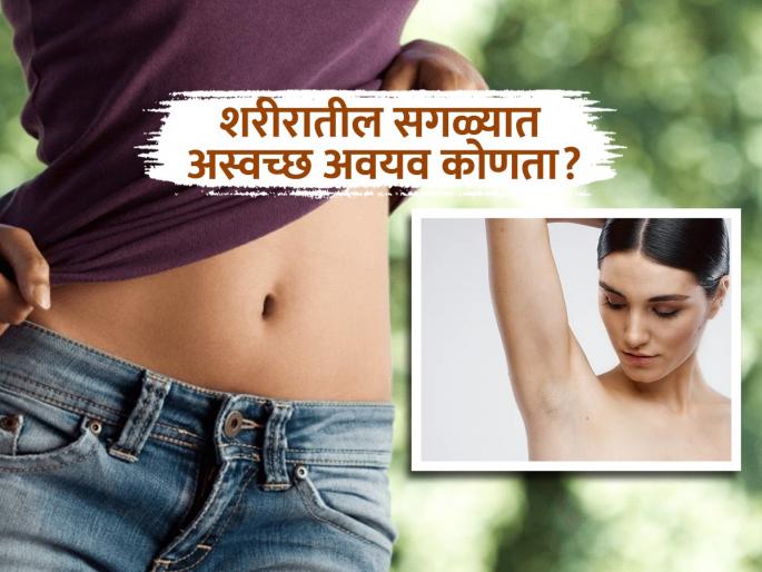 Dirtiest Part of the Human Body: Millions of Bacteria Lurk in the Navel | शरीरात 'या' भागात साचते सर्वाधिक घाण, आंघोळीनंतरही राहतात लाखो बॅक्टेरिया; पाहा काय काळजी घ्याल