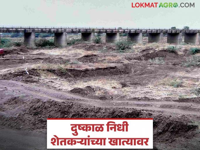75 thousand farmers in this taluka of Solapur district received drought funds after two years | सोलापूर जिल्ह्यातील या तालुक्यात ७५ हजार शेतकऱ्यांना दोन वर्षांनी मिळाला दुष्काळनिधी 75 thousand farmers in this taluka of Solapur district received drought funds after two years | सोलापूर जिल्ह्यातील या तालुक्यात ७५ हजार शेतकऱ्यांना दोन वर्षांनी मिळाला दुष्काळनिधी