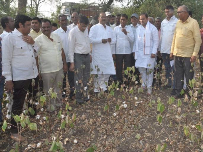 'Severe' drought in three talukas of Nandurbar | नंदुरबारात तीन तालुक्यात ‘गंभीर’ दुष्काळ 'Severe' drought in three talukas of Nandurbar | नंदुरबारात तीन तालुक्यात ‘गंभीर’ दुष्काळ
