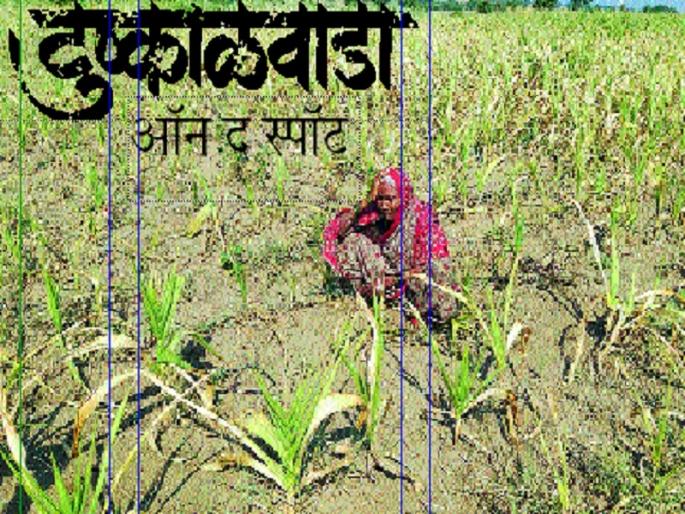 Droght In Marathwada: Kharif season went, Rabi is not good at all! | Drought In Marathwada : खरीप हंगाम गेला, रबीचा विचार न केलेलाच बरा! Droght In Marathwada: Kharif season went, Rabi is not good at all! | Drought In Marathwada : खरीप हंगाम गेला, रबीचा विचार न केलेलाच बरा!