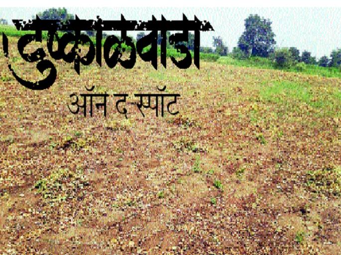 Drought In Marathwada: Cotton and soyabean crop burnt due to water lacking | Drought In Marathwada : पाण्याअभावी पांढरे सोने काळवंडले, सोयाबीनही करपले Drought In Marathwada: Cotton and soyabean crop burnt due to water lacking | Drought In Marathwada : पाण्याअभावी पांढरे सोने काळवंडले, सोयाबीनही करपले