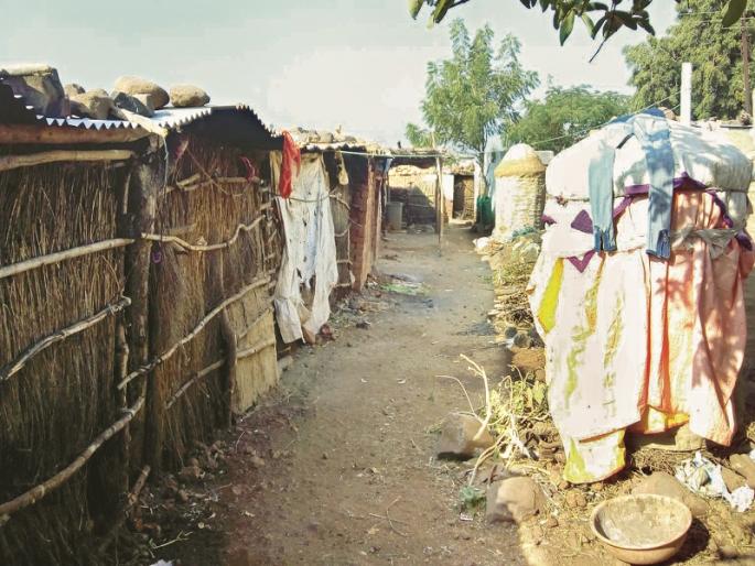 Drought in Marathwada: 40 tanda colonies are empty in Kandhar taluka | Drought In Marathwada : कंधार तालुक्यातील सोनमाळ्यासह ४० तांडे ओसाड Drought in Marathwada: 40 tanda colonies are empty in Kandhar taluka | Drought In Marathwada : कंधार तालुक्यातील सोनमाळ्यासह ४० तांडे ओसाड