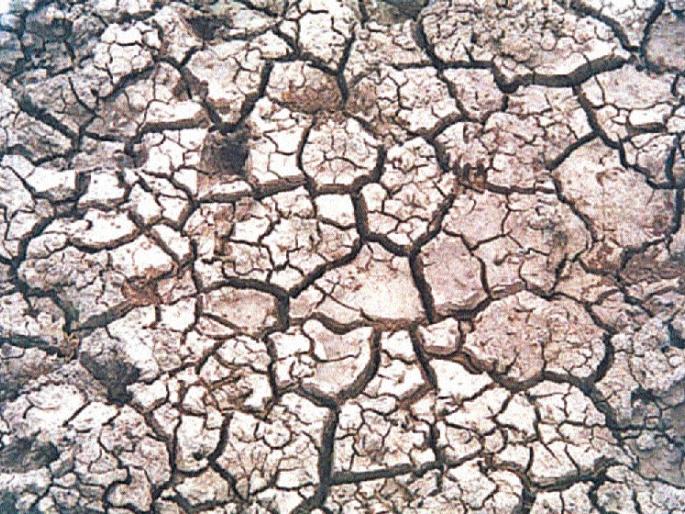 Due to constraints of subdivision - due to delayed monsoon rain, farmers in the district are worried | मान्सूनचा पाऊस लांबल्याने जिल्ह्यातील शेतकरी चिंतेत -: उपसाबंदीने अडचणी Due to constraints of subdivision - due to delayed monsoon rain, farmers in the district are worried | मान्सूनचा पाऊस लांबल्याने जिल्ह्यातील शेतकरी चिंतेत -: उपसाबंदीने अडचणी