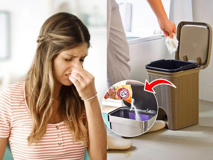 How to stop wet waste smell spreading in the house Easy tips to keep garbage bin clean and odor free Simple tricks to maintain kitchen dustbin hygiene | घरातल्या ओल्या कचऱ्याचा दुर्गंध घरभर पसरतो? ५ टिप्स-डस्टबिन राहील स्वच्छ-वासही गायब