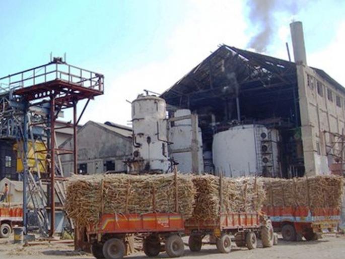 Child Labor in Sanglit Sugar Factory; A case has been filed against the contractor | सांगलीत साखर कारखान्यात बालकामगार; ठेकेदारावर गुन्हा दाखल Child Labor in Sanglit Sugar Factory; A case has been filed against the contractor | सांगलीत साखर कारखान्यात बालकामगार; ठेकेदारावर गुन्हा दाखल