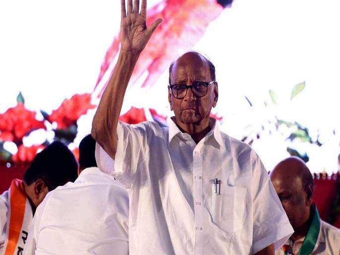 Shikhar Bank scam: NCP call for agitation across Maharashtra tomorrow against ED's action on Sharad Pawar | शिखर बँक घोटाळा : पवारांवर सूडबुद्धीने कारवाई; राष्ट्रवादीची उद्या महाराष्ट्रभर आंदोलनाची हाक Shikhar Bank scam: NCP call for agitation across Maharashtra tomorrow against ED's action on Sharad Pawar | शिखर बँक घोटाळा : पवारांवर सूडबुद्धीने कारवाई; राष्ट्रवादीची उद्या महाराष्ट्रभर आंदोलनाची हाक