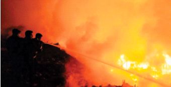 More than seventy animals rescued from the fire | आगीतून सत्तरहून अधिक जनावरांची सुटका More than seventy animals rescued from the fire | आगीतून सत्तरहून अधिक जनावरांची सुटका