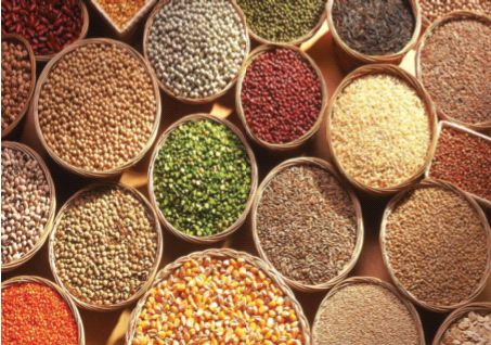 Women are upset as there are hundreds of green gram and urad dal along with edible oil | खाद्यतेलासह मूग, उडीद डाळ शंभरीपार झाल्याने महिला नाराज