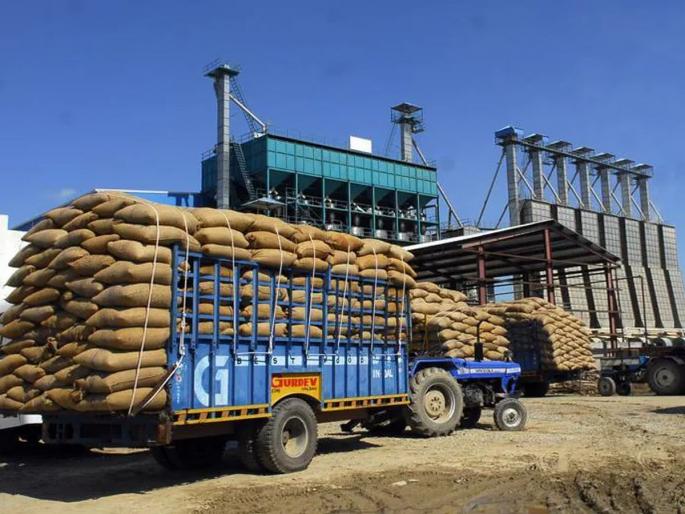 100 agricultural companies on CBI's radar; Banks fraud thousands of crores of rupees | १०० शेतकी कंपन्या सीबीआयच्या रडारवर; बँकांना हजारो कोटी रुपयांचा गंडा 100 agricultural companies on CBI's radar; Banks fraud thousands of crores of rupees | १०० शेतकी कंपन्या सीबीआयच्या रडारवर; बँकांना हजारो कोटी रुपयांचा गंडा